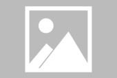 kaiyun官方网站入口Scout遭遇七持续失利，C9教练压力巨大！
